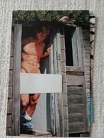 FALCON STUDIO vintage 1999 cartes postales gay LGBT 3, Non affranchie, 1980 à nos jours, Enlèvement ou Envoi, Stars et Célébrités