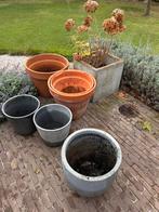 Bloempotten, Gebruikt, Rond, Tuin, Terracotta