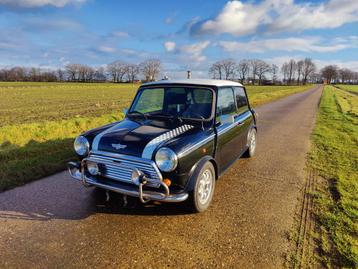 Rover mini ‘94 beschikbaar voor biedingen