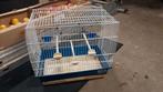 Cage pour canari, Animaux & Accessoires, Enlèvement, Utilisé