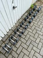 Dumbells tot 14kg, Sport en Fitness, Fitnessmaterialen, Ophalen of Verzenden