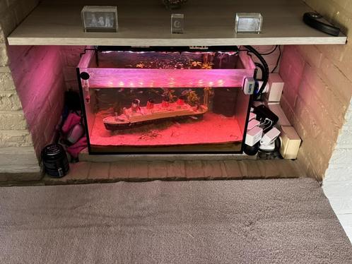 Aquarium 60cm, Dieren en Toebehoren, Vissen | Aquaria en Toebehoren, Zo goed als nieuw, Gevuld zoetwateraquarium, Ophalen