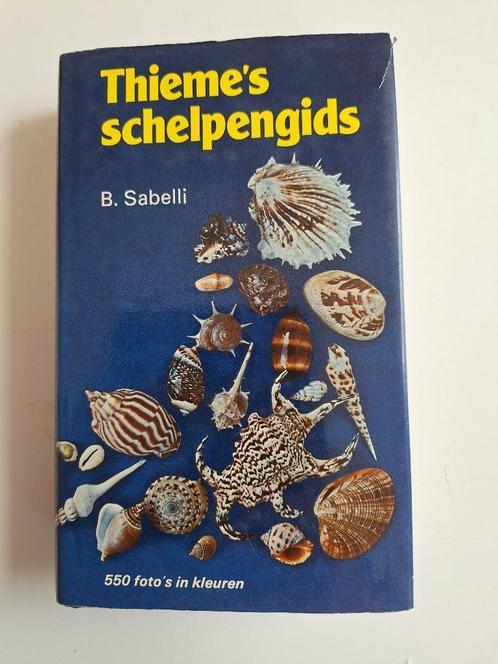 Thiem's schelpengids, Verzamelen, Mineralen en Fossielen, Schelp(en), Ophalen of Verzenden