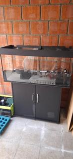 TE KOOP AQUARIUM MET LICHT EN FILTER OP KAST., Dieren en Toebehoren, Vissen | Aquaria en Toebehoren, Ophalen, Gebruikt, Leeg aquarium