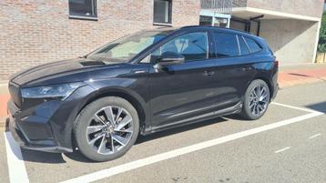 Skoda Enyaq Enyaq iV 80 Sportline 2023 Elektrisch beschikbaar voor biedingen