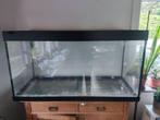 Aquarium, Ophalen, Gebruikt, Leeg aquarium