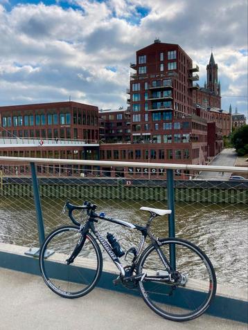 Prorace Viper Ultegra 10 Speed, Fietsen en Brommers, Fietsen | Racefietsen, Ophalen, Carbon