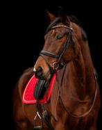 Leuk dressuurpaard te koop, Ophalen of Verzenden