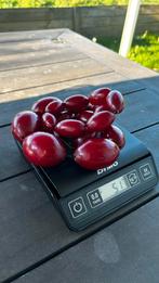 Recherche rachète vos vieux colliers, Ophalen, Gebruikt, Rood