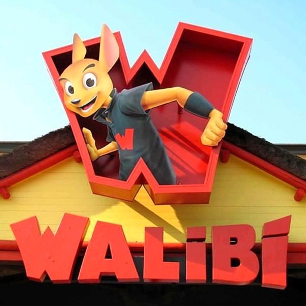 4 Walibi Waver tickets, geldig tem zondag 5 oktober, Tickets en Kaartjes, Overige Tickets en Kaartjes