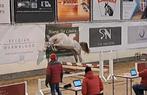 3 jarige merrie, Dieren en Toebehoren, Paarden, Merrie, Springpaard, Gechipt, Zadelmak