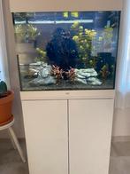 Juwel lido 200 + kast, Dieren en Toebehoren, Ophalen, Zo goed als nieuw