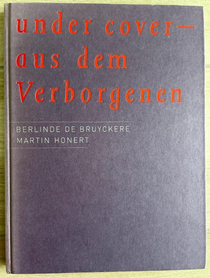 Berlinde De Bruyckere & Martin Honert: Under Cover, Boeken, Kunst en Cultuur | Beeldend, Gelezen, Beeldhouwkunst, Ophalen of Verzenden