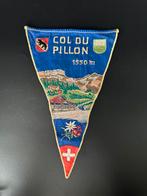 Col du Pillon (Zwitserland) 1950’s wimpel - Edelweiss, Ophalen of Verzenden