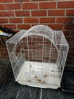Cage oiseaux, Utilisé