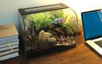 Terrarium Habisphere 30x30x45 vide, Animaux & Accessoires, Autres accessoires pour animaux