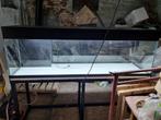 Aquarium 540 litres, Dieren en Toebehoren, Ophalen, Gebruikt, Leeg aquarium
