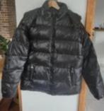 Zwarte winterjas nieuw, Ophalen, Nieuw, Maat 52/54 (L), Zwart