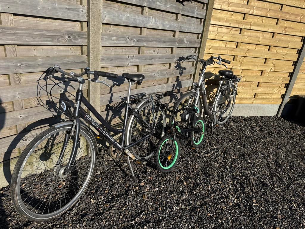 3 fietsen te koop, Fietsen en Brommers, Fietsen | Dames | Damesfietsen, Ophalen, Gebruikt