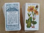 Alpine Flowers complete set 50 chromos bloemen 1913 Wills, Ophalen of Verzenden, Voor 1940, Natuur