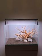 ADA Cube Garden 60P + Twinstar 600 S + Cabinet in ADA style, Ophalen, Gebruikt, Leeg aquarium