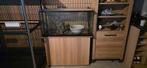 Aquarium met kast en toebehoren, Dieren en Toebehoren, Ophalen, Gebruikt
