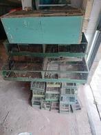 Cage, Animaux & Accessoires, Enlèvement