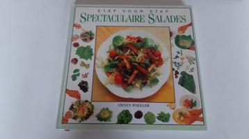 Kookboek "Spectaculaire salades"