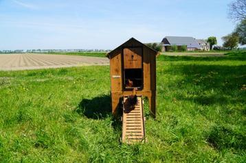 Trespa Kippenhok / Classic L Op Pootjes - Cucciolotta beschikbaar voor biedingen