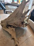 Hout voor aquarium, Dieren en Toebehoren, Ophalen