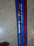 3  Zeehengels Vercelli Enygma allegra, Watersport en Boten, Ophalen, Gebruikt, Werphengel