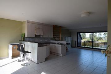 Appartement te huur in Baasrode, 2 slpks, Immo, Huizen te huur, Appartement, 176 kWh/m²/jaar, 2 kamers
