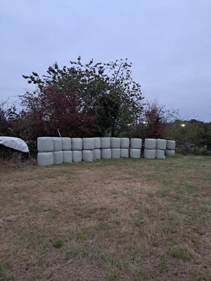 midibalen hooi, Zakelijke goederen, Landbouw | Veevoer, Ophalen