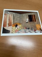 Bieke Depoorter foto, Antiek en Kunst, Kunst | Tekeningen en Fotografie, Ophalen of Verzenden