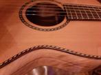 BSG P12F parlor flamed walnut/cedar (video), Ophalen, Zo goed als nieuw, Western- of Steelstringgitaar, Met koffer