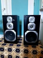 Baffle technics DISCO 2×100 whatt, Audio, Tv en Foto, Luidsprekerboxen, Ophalen, Zo goed als nieuw