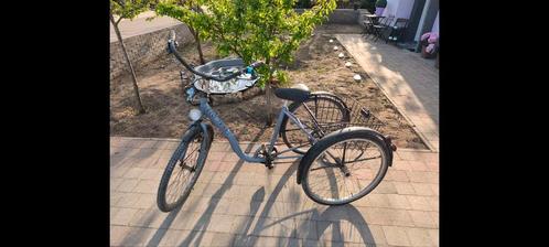 eco-trike, Fietsen en Brommers, Fietsen | Driewielfietsen, Zo goed als nieuw, Ophalen of Verzenden
