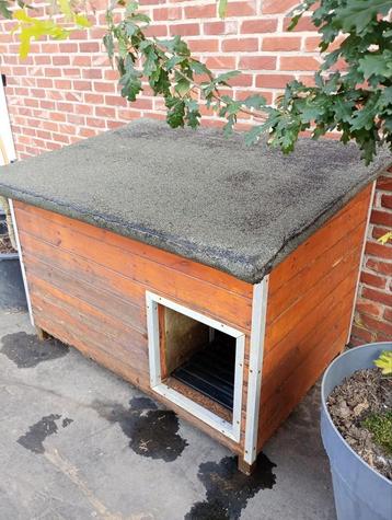 Hondehok beschikbaar voor biedingen