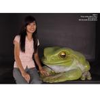 Frog Jumbo – Kikker beeld Lengte 101 cm, Nieuw, Ophalen