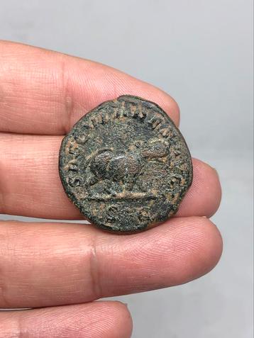 Romeinse munt, Otacilia Severa en Sestertius/Nijlpaard beschikbaar voor biedingen