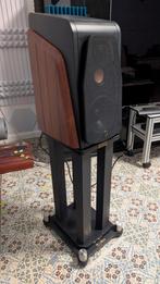 Hivi Swan M300MKII, Enlèvement, Neuf, 120 watts ou plus