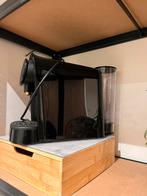 Philips L’OR Barista Capsule Koffiemachine, Réservoir d'eau amovible, Comme neuf, Dosettes et capsules de café, 2 à 4 tasses