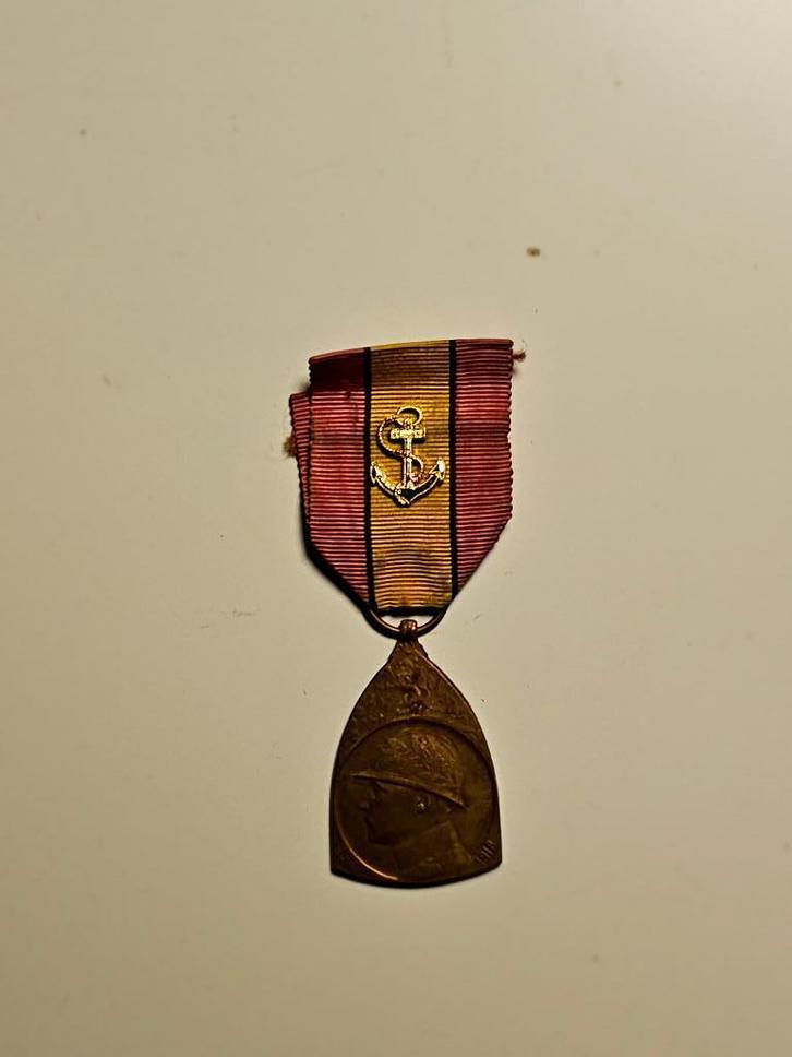 Belgische medaille, Verzamelen, Militaria | Algemeen, Overige soorten, Lintje, Medaille of Wings, Verzenden