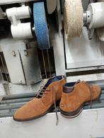 Tommy Hilfiger - 42 chaussures, Vêtements | Hommes, Chaussures, Enlèvement ou Envoi, Chaussures à lacets