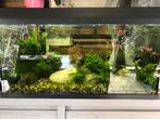 Te koop, Dieren en Toebehoren, Ophalen, Zo goed als nieuw
