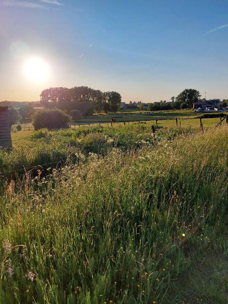 Instapklare woning met zicht, ruimte en karakter, Immo, Maisons à vendre, Province de Flandre-Orientale, 500 à 1000 m², Autres types