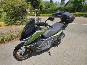 Malagutti madisson beschikbaar voor biedingen