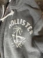 Hollister hoodie met rits, Enlèvement ou Envoi, Taille 52/54 (L), Gris, Hollister