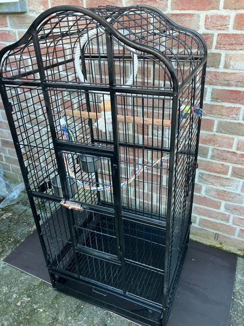 ZWARTE PAPEGAAIENKOOI TAFEL MODEL MET  SPEELTJE 140 EURO, Dieren en Toebehoren, Vogels | Hokken en Kooien, Zo goed als nieuw, Volière