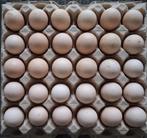 Broedeieren, Dieren en Toebehoren, Pluimvee